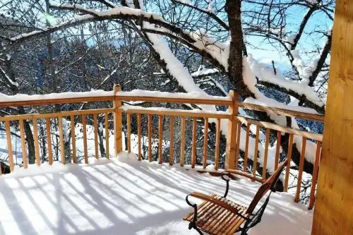 Chalet de luxe 16 pers. 150m pistes 68967
