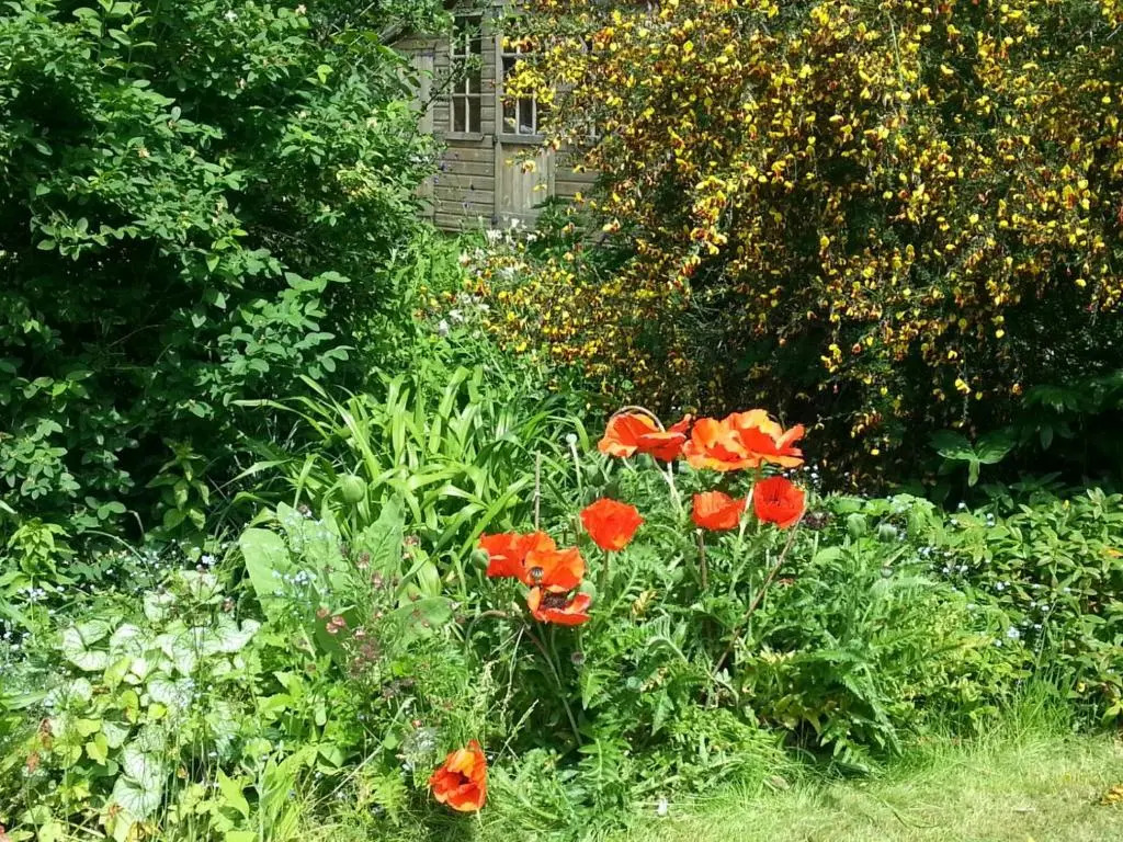 Field View B&B