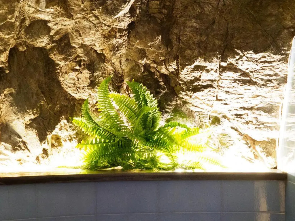 Casa Pina Family Apartment