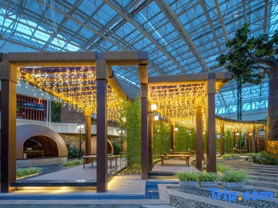 Changchun Yinhe Hot Spring Club Hotel