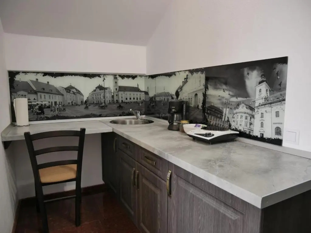 Sibiu City Center Apartments