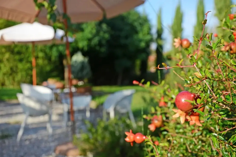Jardin Blanc