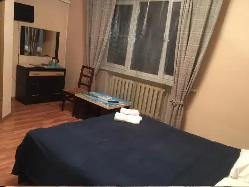 Hotel David