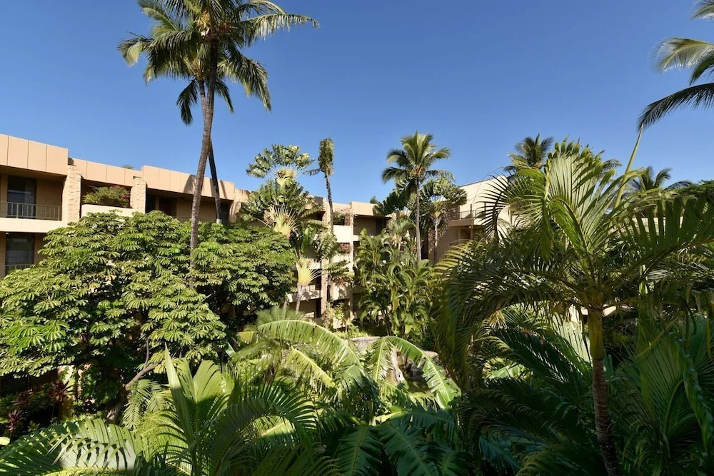 Paki Maui 414 by RedAwning