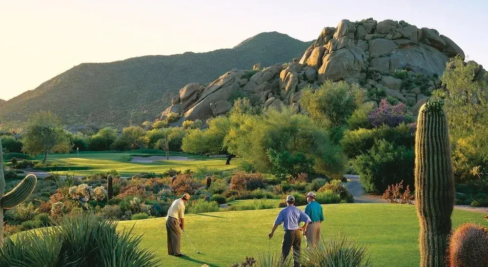 Sahuaro #1010 Scottsdale