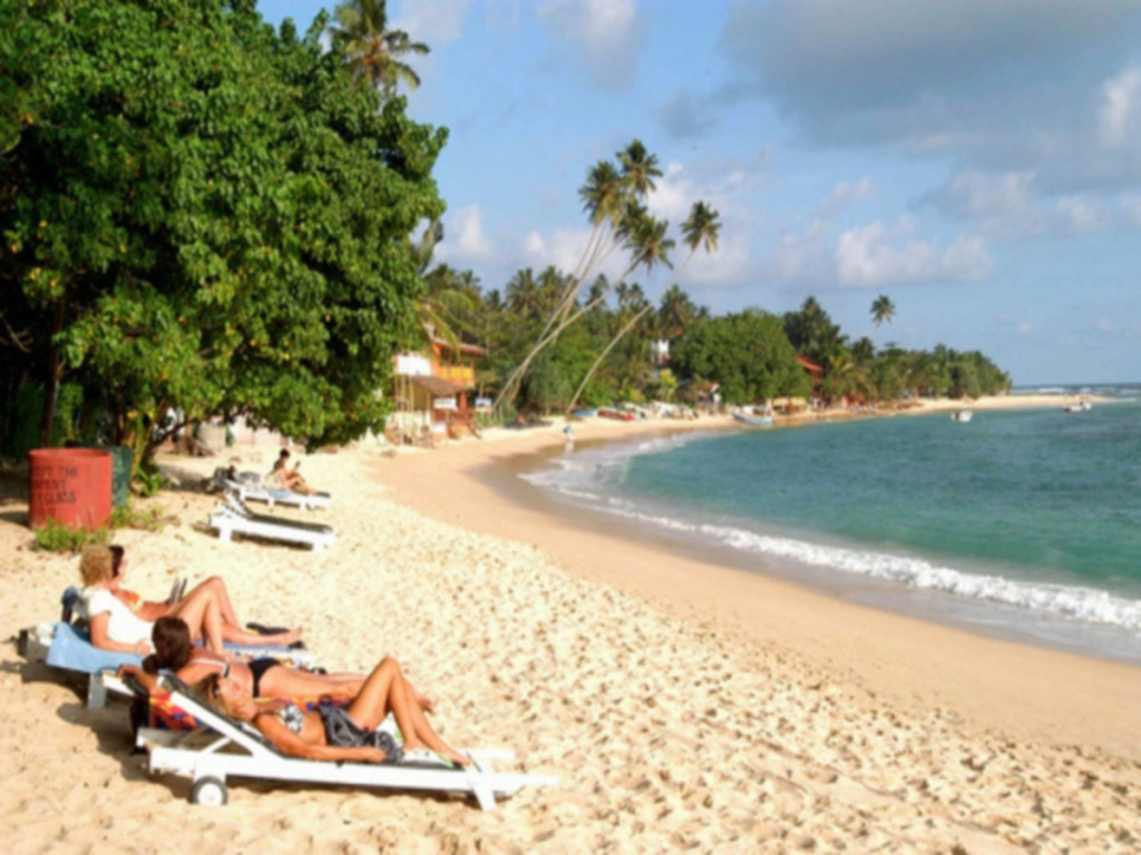 Hibiscus Villa