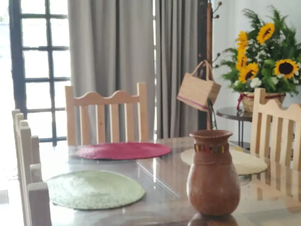 casa mango