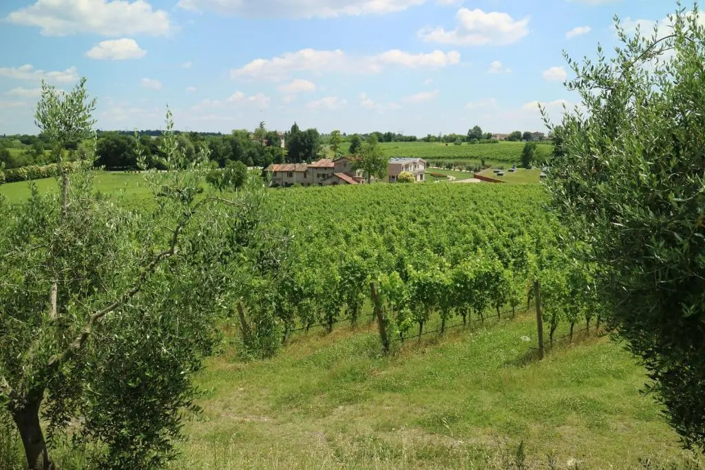 COBUE "Wine resort & Spa"