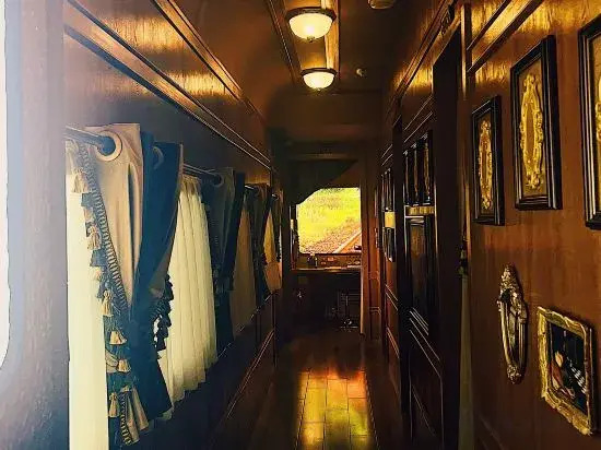 Green Train Leisurely Time