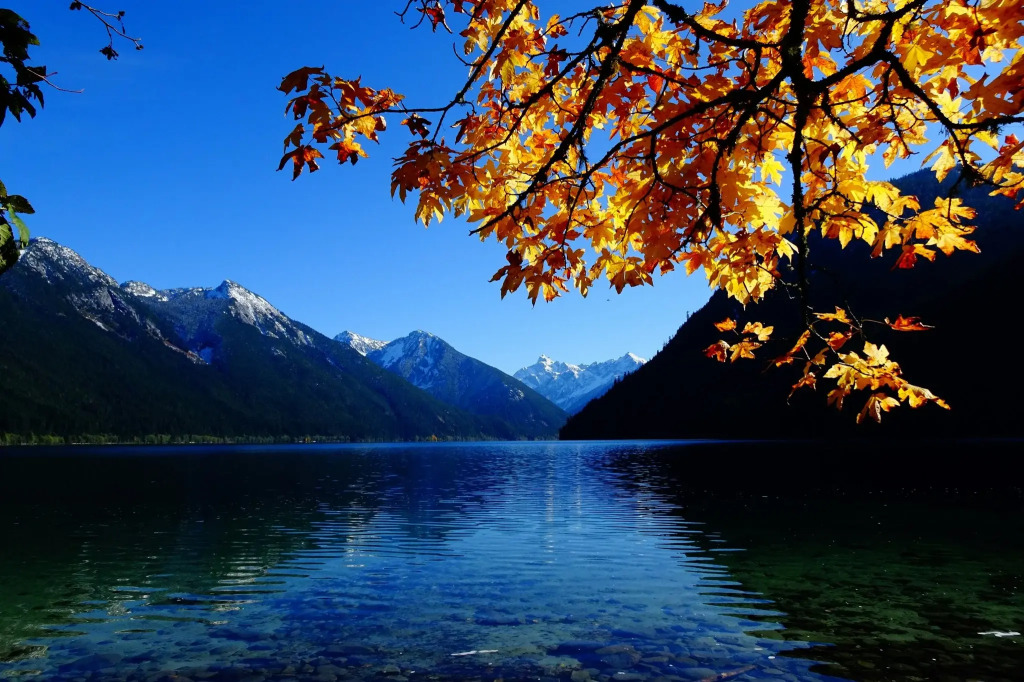 Holiday Inn Express & Suites - Chilliwack East an IHG Hotel