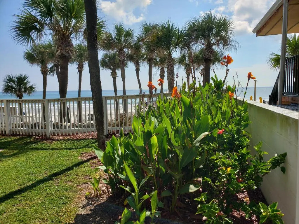 Flamingo Inn Beachfront - Daytona Beach
