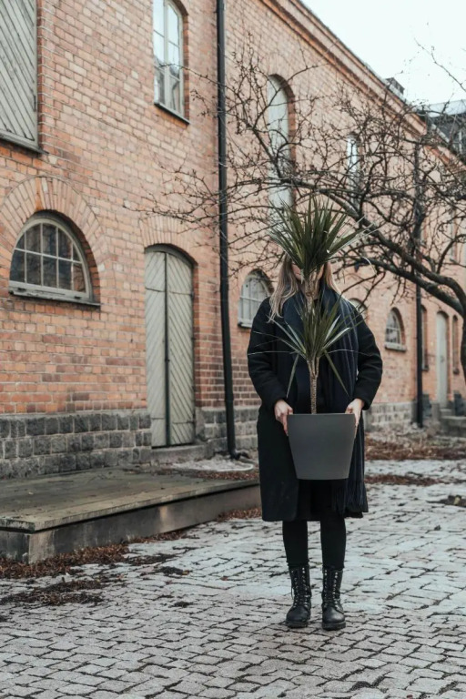 Botanika Uppsala