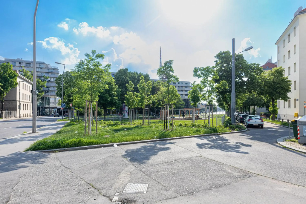 Premium City Apartment/Grand Opening Offers!