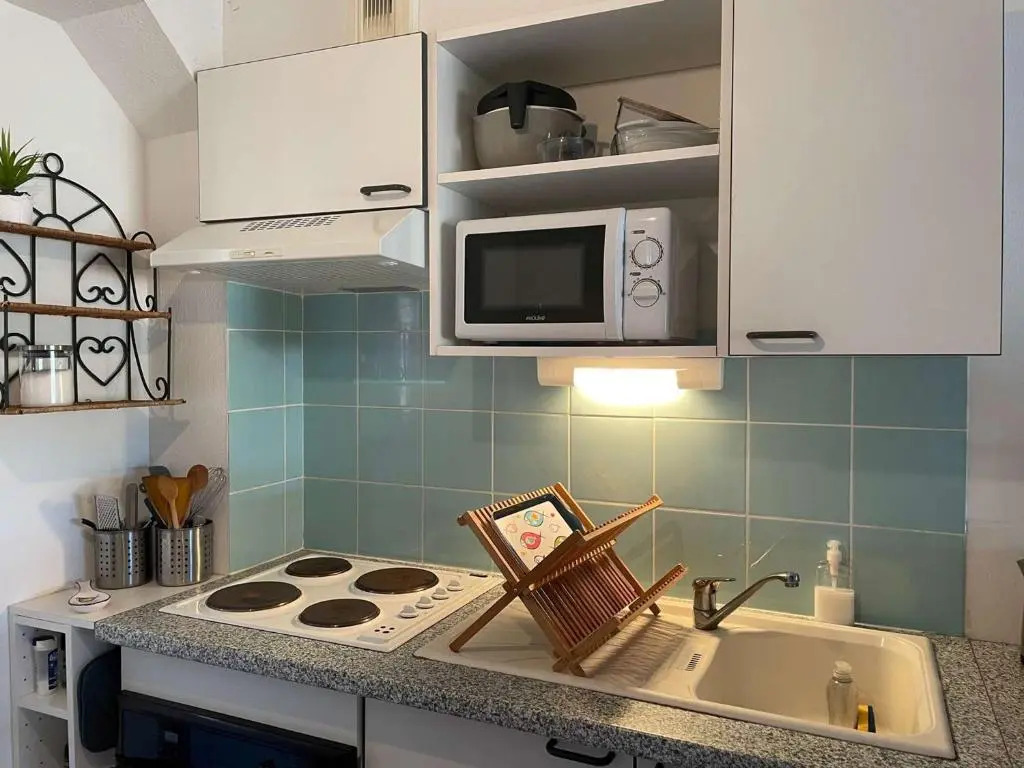 Appartement Banyuls-sur-Mer, 3 pièces, 6 personnes - FR-1-225C-88