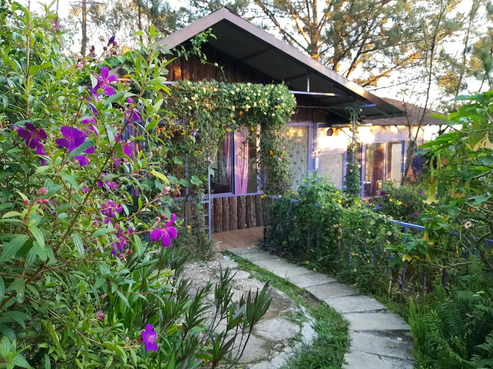 Pine Hill Homes Dalat