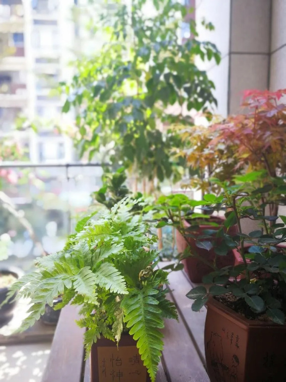 You Hostel Shenzhen - Adults Only