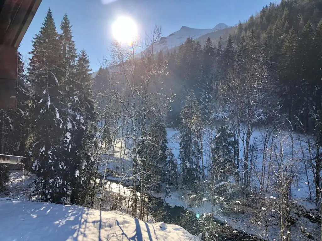 Chalet Rivière du Bon Nant Location de 6 à 14 personnes en Haute Savoie