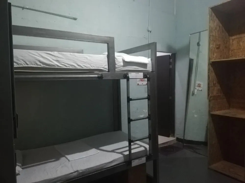 Tree House Hostel