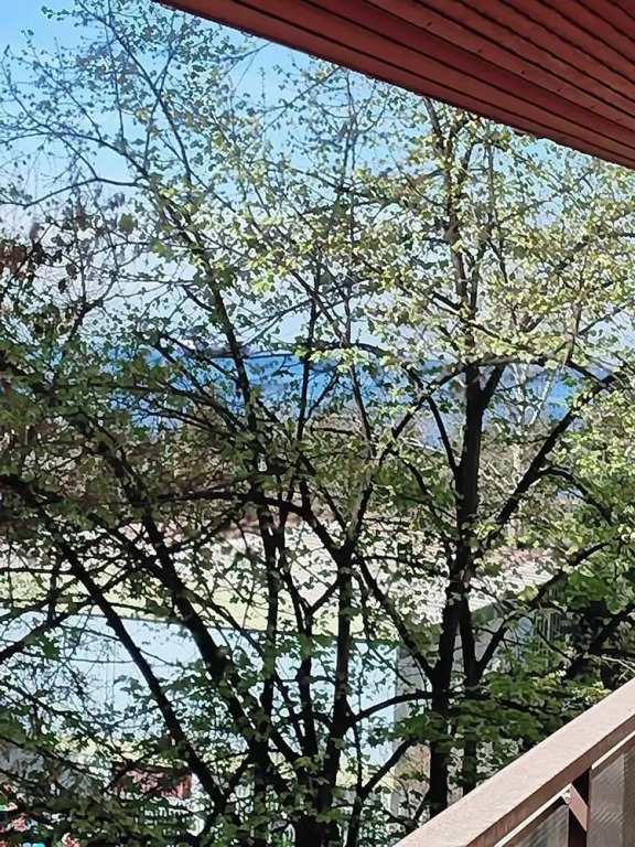 Two Big Waterfront Apartments in Same Building