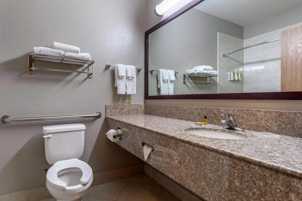 Best Western Plus Mansfield Inn & Suites