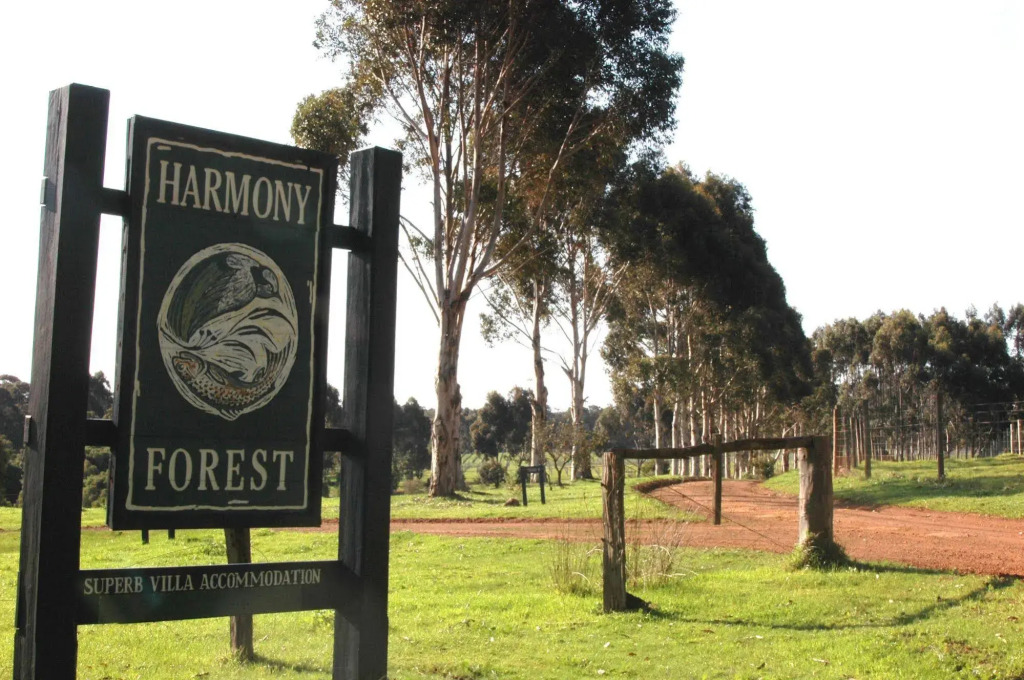 Harmony Forest Accommodation and Vineyard