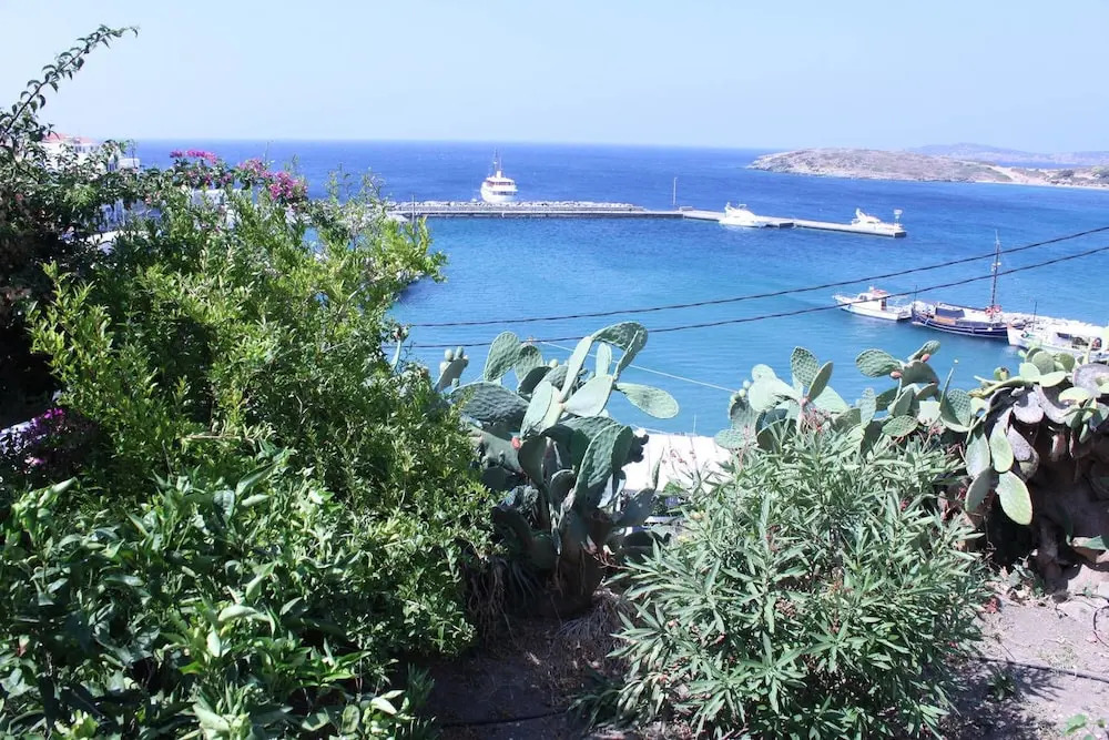 Aegean Sea-view house in Batsi, Andros!