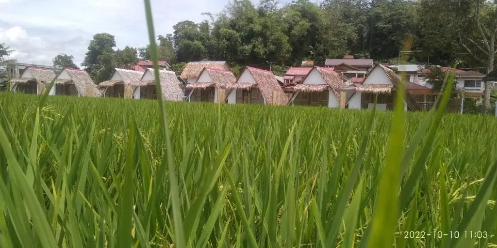 BAMBOO Shack & BAMBOO Cabin