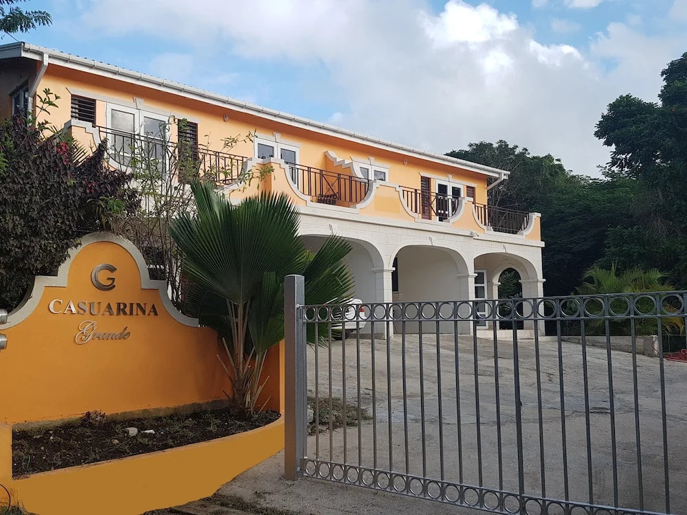 Casuarina Grande