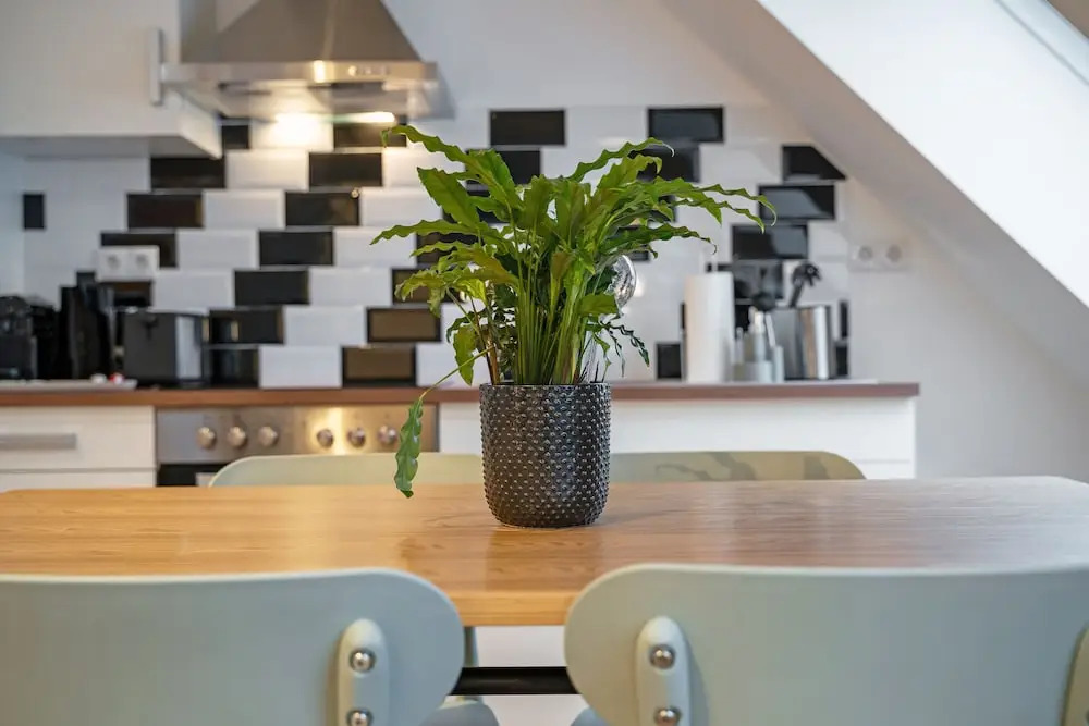 Deluxe Apartments Vienna Thaliastraße