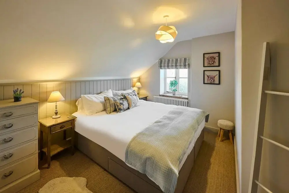 Host Stay Rock Rose