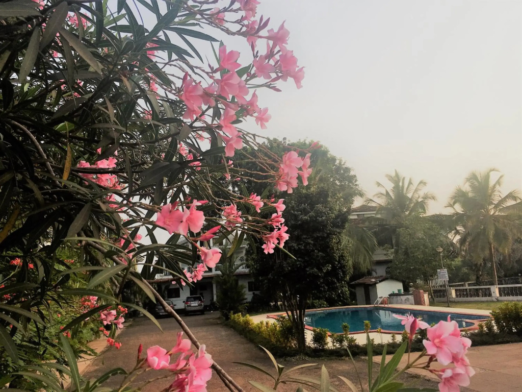 GR Stays - Arpora Duplex 3bhk Villa With Pool I Baga Beach 5 mins