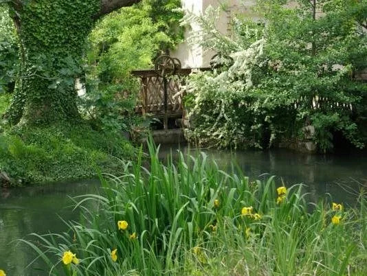 Bastide Rose