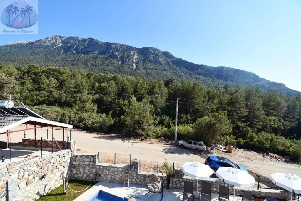 Desen Villa 2