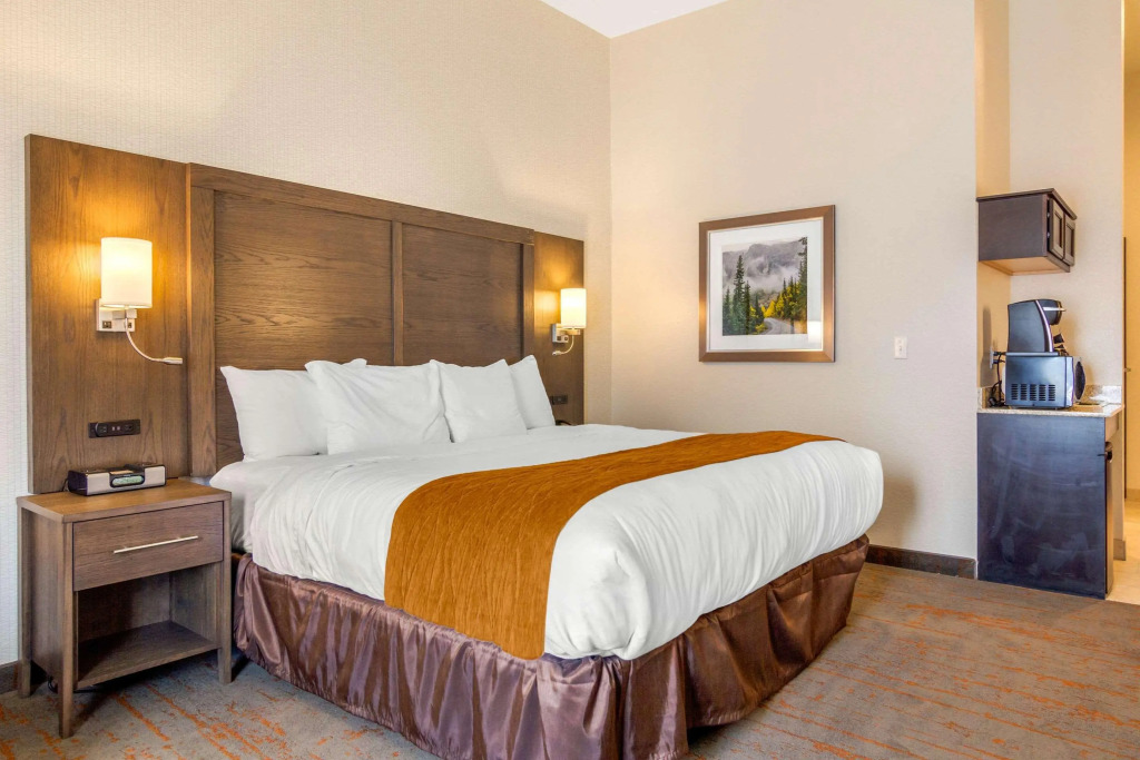 Comfort Inn & Suites Brighton Denver NE Medical Center
