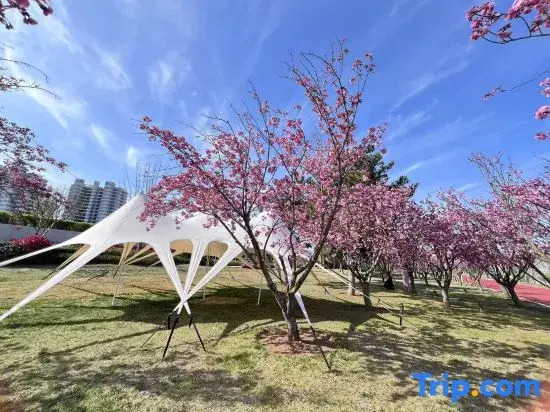 Jingxi Daojia Hotel (Rongcheng Downtown Cherry Lake Sports Park)