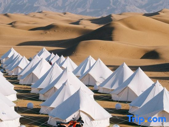 Shapotou Xingyue international camping base