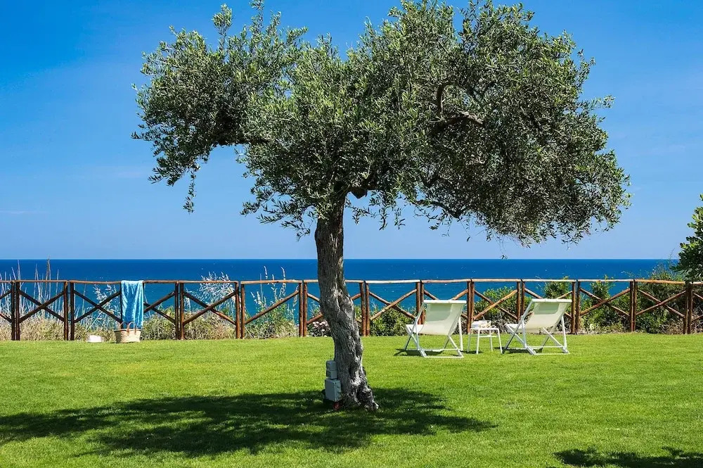 Nettuno