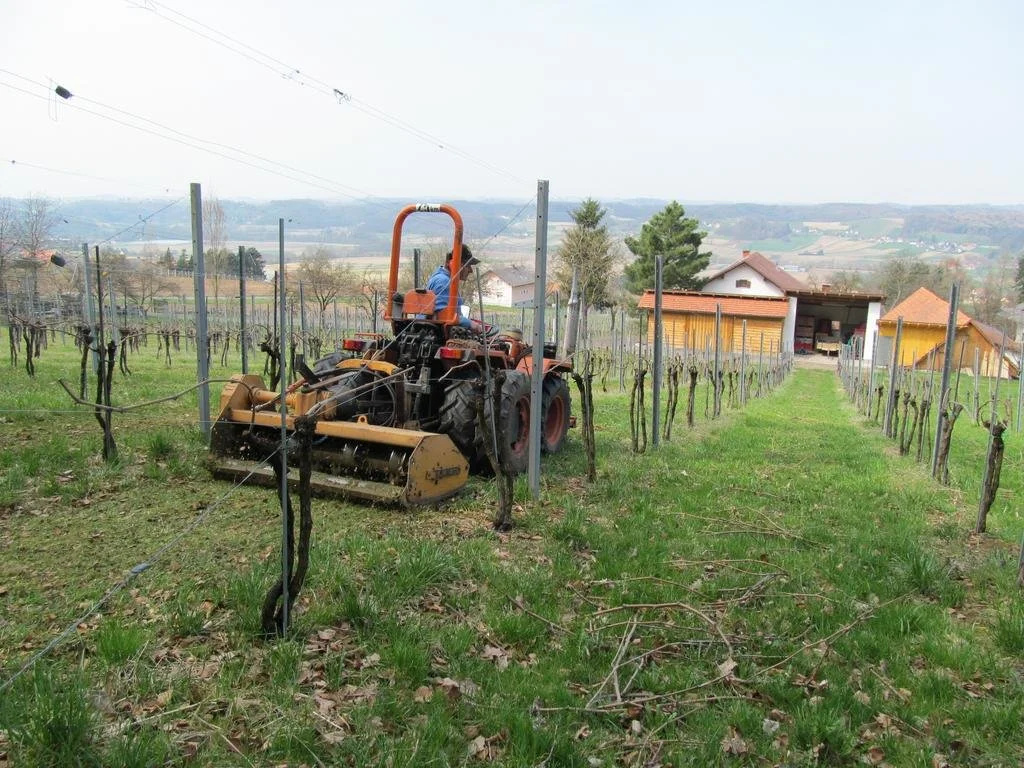 Appartement Weingut Schoberhof