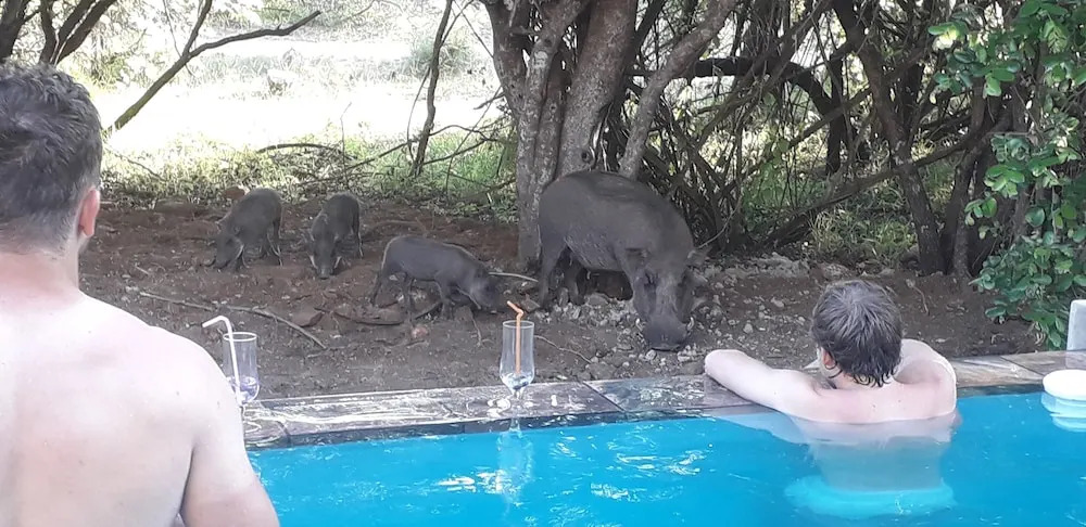 Lovely holiday home for a large family or friends bordering Kruger National Park