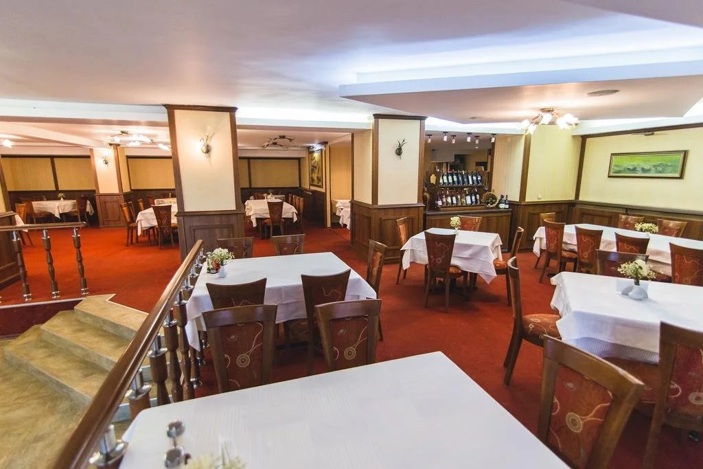 SPA Hotel Borova Gora