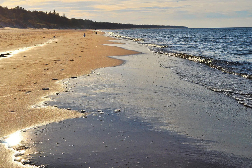Comfortable holiday homes close to the beach