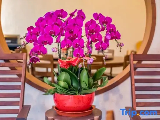 Beijing Lishan Nanyu Mountain Spring Pool Homestay