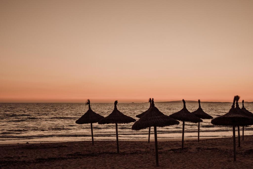 Caramelo Palma Beach