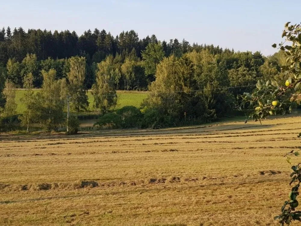 Ferienhof Löw