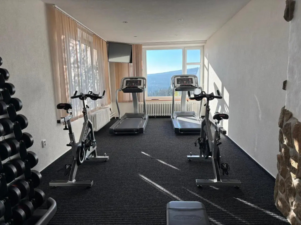 Spa Hotel Podlesí - Walldorf a Pohádková vesnička
