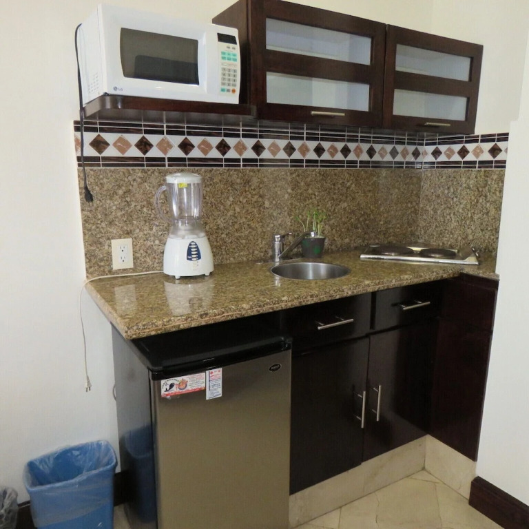 Suites Melchor Ocampo 445