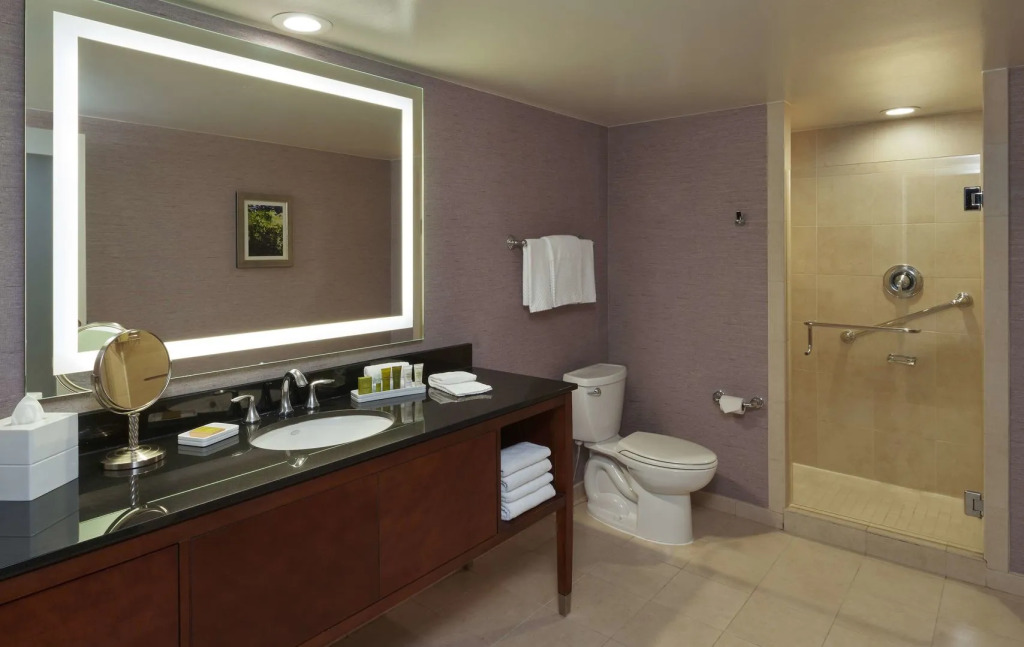 Hilton Washington DC/Rockville Hotel & Executive Meeting Center