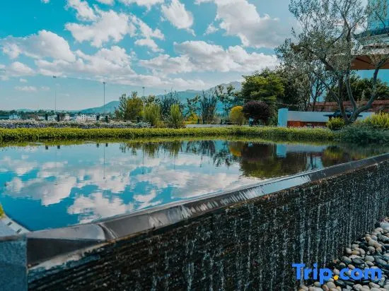 Dali Yu · Guiyuan Tianju Holiday Meisu (Bohai Caicun Branch)