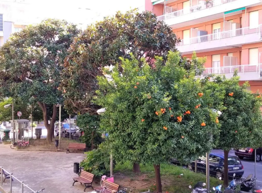 Appartamento Angela