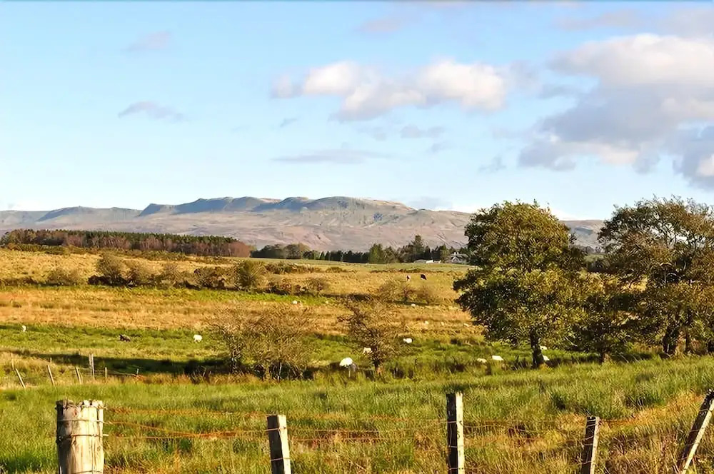 Third Farm
